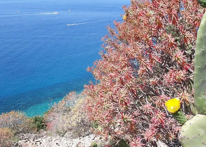 Aurora: Beach-5 Terre-trekking-excursions-relax Сан-Таренцо